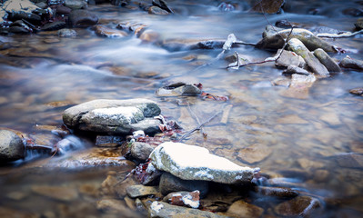 Forest stream in winter