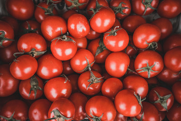 red tomatoes background. Group of tomatoes