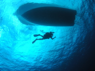 Obraz premium Diver Under Boat