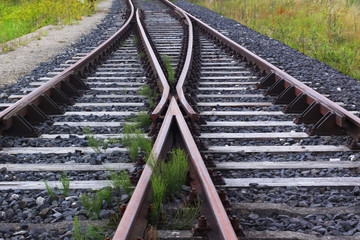 Fototapeta premium Weiche