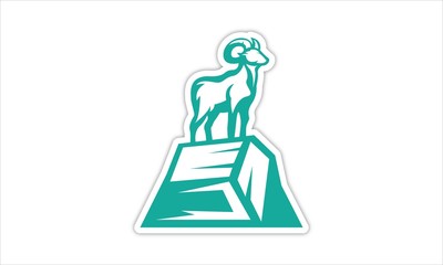 Obraz premium Bighorn Sheep