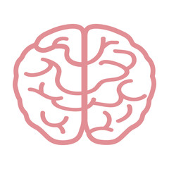 human brain icon image