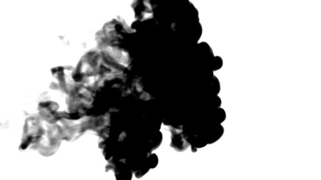 A lot of black ink flows on white moving in slow motion, ink or smoke inject . Black Color curls in water for Inky or smoky background or ink effects. Use luma matte like alpha mask or alpha channel