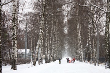 alley of city Park family ice skating