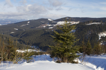 Winter landscape in the Carpathians mountains