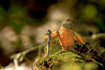 Anthropomorphic Carrot boy