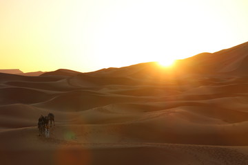 Fototapeta na wymiar Wüste und Karawane