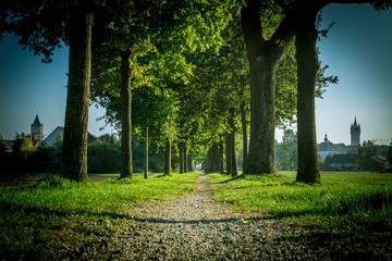 Westufer Gstütt Insel Straubing-2