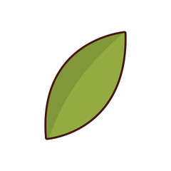 leaf icon image