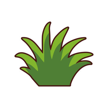 grass leaves icon