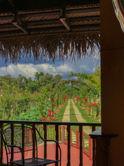 View from frontporch over dirt road under overgrown arched Trellis with flowers in Belize