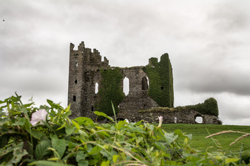 Fototapeta na wymiar Castello irlandese