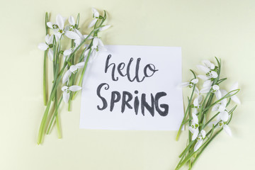 Hello spring calligraphy note decorated with snowdrops on light yellow background