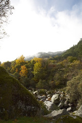 A landscape of the mountain