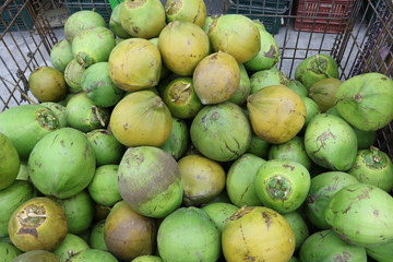 Kokosnüsse in Taipei