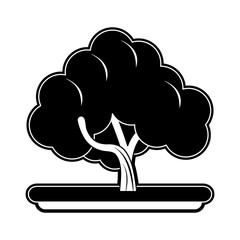 Trees nature symbol icon vector illustration graphic design