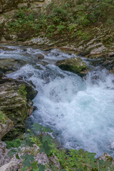 Słowenia 18, 2017: Spieniona rzeka,  Radovna w Wąwóz Vintgar
