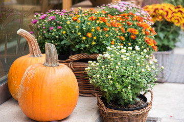 Fototapeta na wymiar Pumpkin and flowers, decoration on the porch