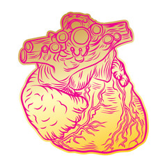 Golden Human heart in hand drawn style. Anatomical sketch concept in gold for flesh tattoo or print t-shirt, smart phone, poster. Fashionable patch heart sticker. Doodle pop art sketch badge. Vector.