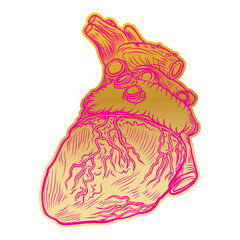 Valentine's day anatomical human heart. Print on t shirts concept. Sticker, pin or patch. flesh tattoo hand drawing idea. Vector.