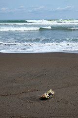 pair of torn soccer shoes at the ocean shore - end of the game
