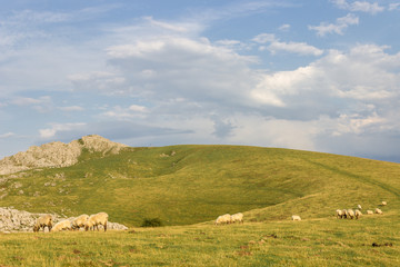 Obraz premium Aloña mountain in Oñati