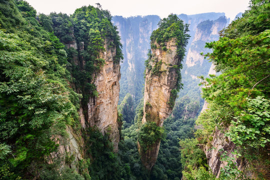 Landscape of Zhangjiajie. Avatar Hallelujah Mountain. Located in Wulingyuan Scenic and Historic Interest Area (Wu Ling Yuan Feng Jing Ming Sheng Qu), Hunan, china.