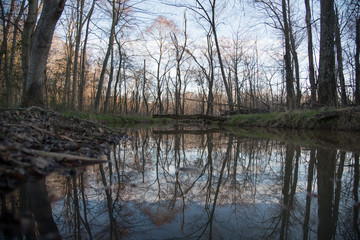 Fototapeta na wymiar reflection pond