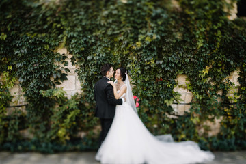 Beautiful happy young bride kissing handsome groom in sunlit par