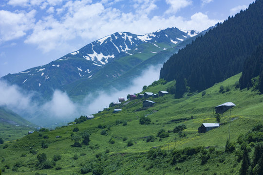 Village Houses