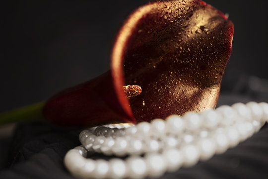 Pearl necklace and red calla flower
