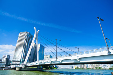 隅田川と中央大橋