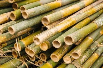 Pile of cutting bamboo. Asian building material.