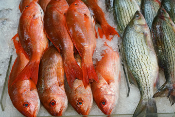 Fresh frozen fishes on the ice in the retail store