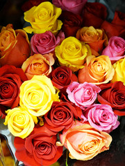 close up on colorful rose in a bouquet
