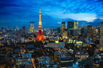 Fototapeta na wymiar Tokyo city skyline at dusk, Tokyo Japan