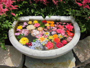 Fototapeta na wymiar Stone basin filled with flower petals and blossoms