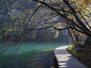 Wooden walkway along the shore of the lake and autumn trees. Plitvice lakes, Croatia.