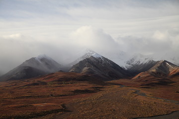 landscape around the denali street Denali National Park, Alaska,