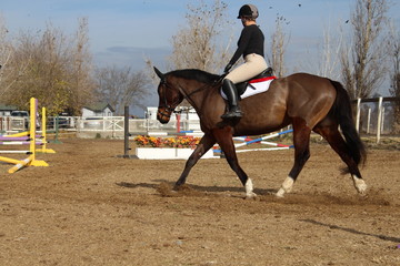 woman & horse