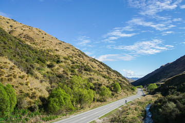 concrete road along green hills in New Zealand for road trip