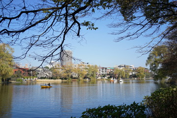 石神井公園　池　風景　散歩　