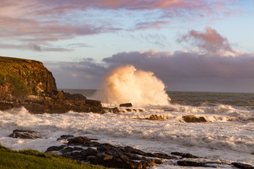 New Zealand Curio Bay south island rough coastline shore with waves and cliffs at sunset