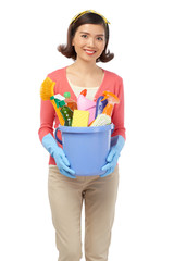 Pretty Housemaid at Work