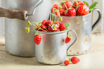 Healthy wild strawberries in the old metal mug