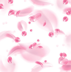 Vector realistic rose, cherry, sakura petal