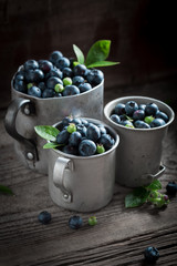 Healthy blueberry in the old metal mug
