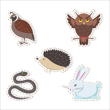 Cute Cartoon Forest Animals Stickers Collection
