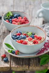 Healthy granola for breakfast in summer garden