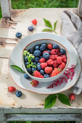 Tasty blueberries and raspberries in the summer garden